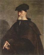 Sebastiano del Piombo portrait of andrea doria oil painting on canvas